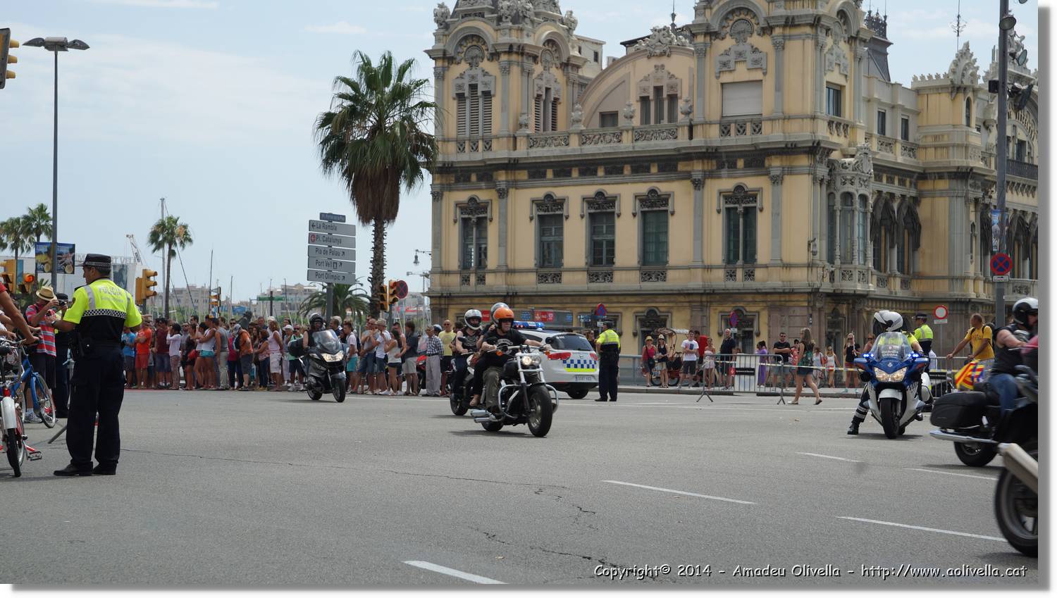 HarleyD_122.jpg