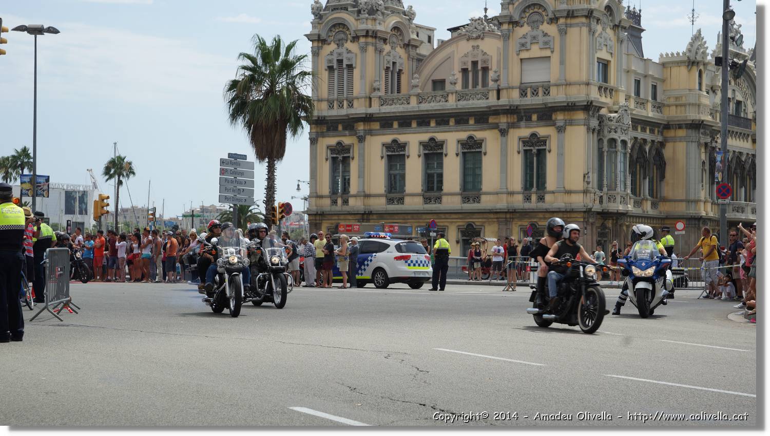 HarleyD_124.jpg