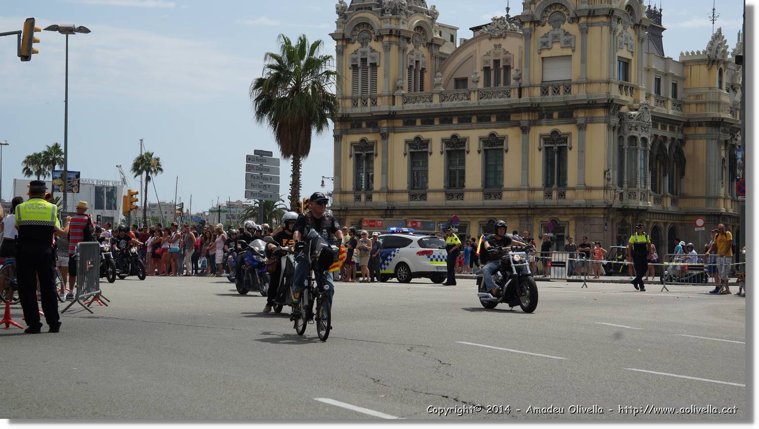HarleyD_129.jpg