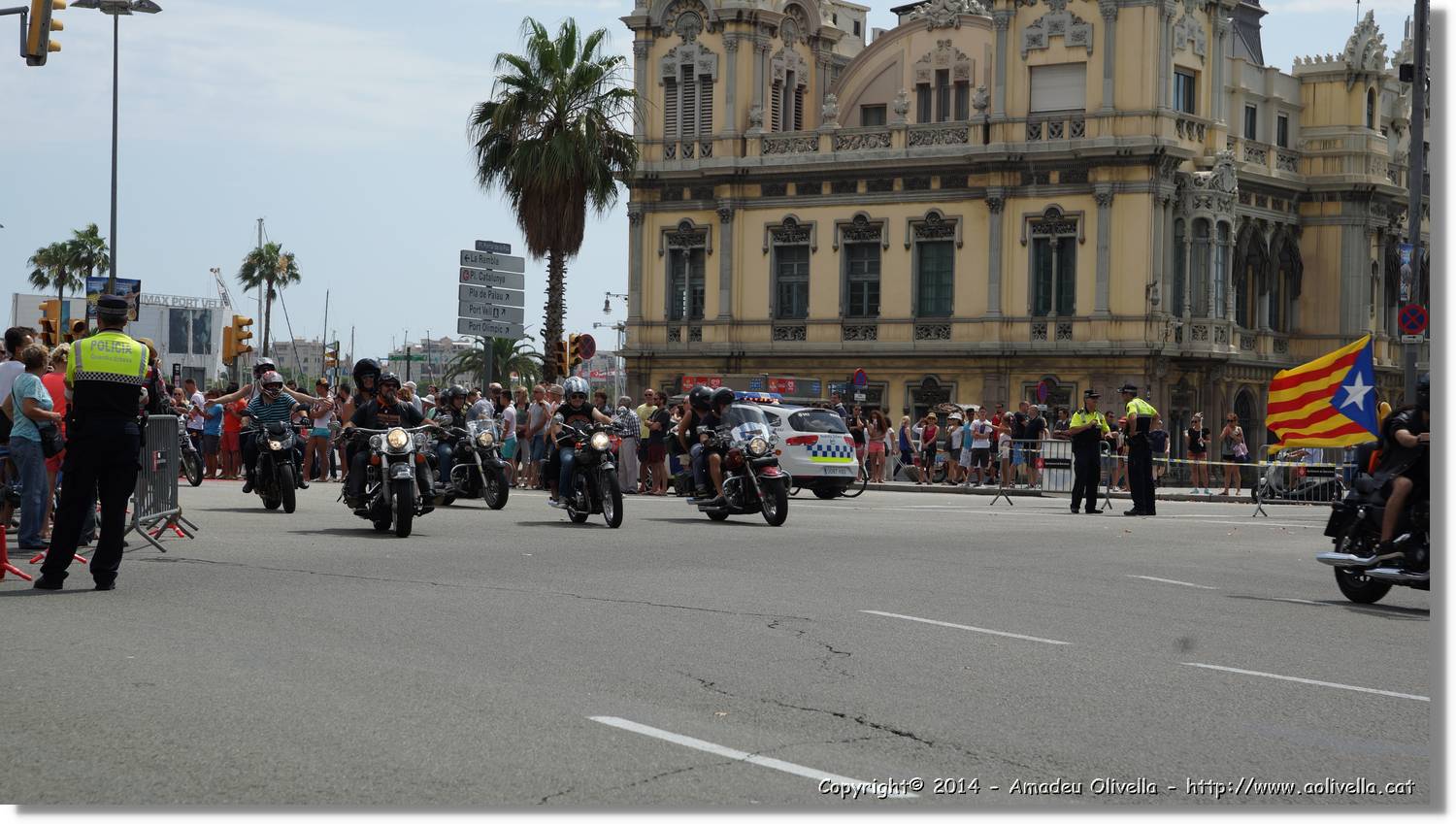 HarleyD_131.jpg