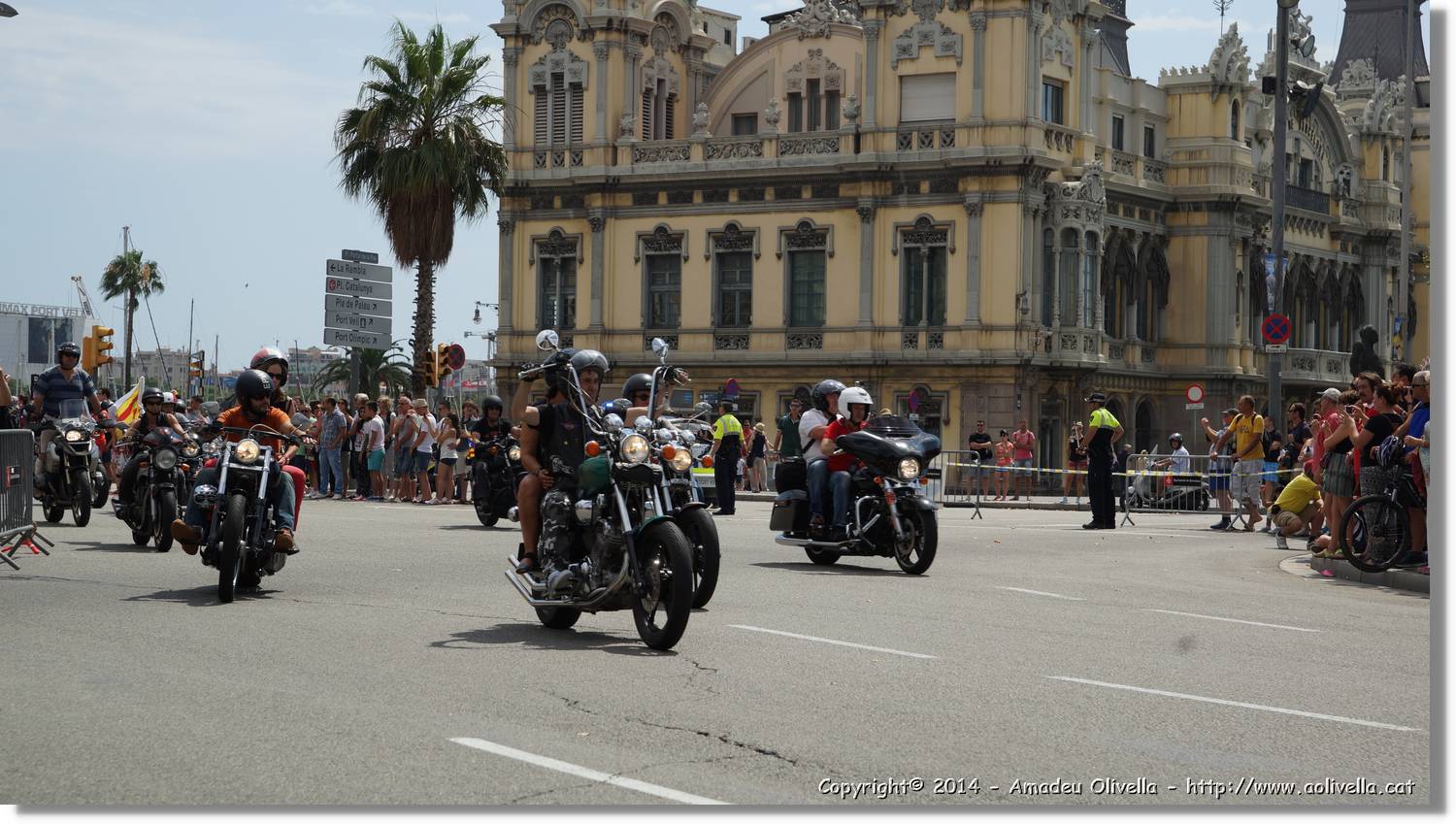 HarleyD_137.jpg
