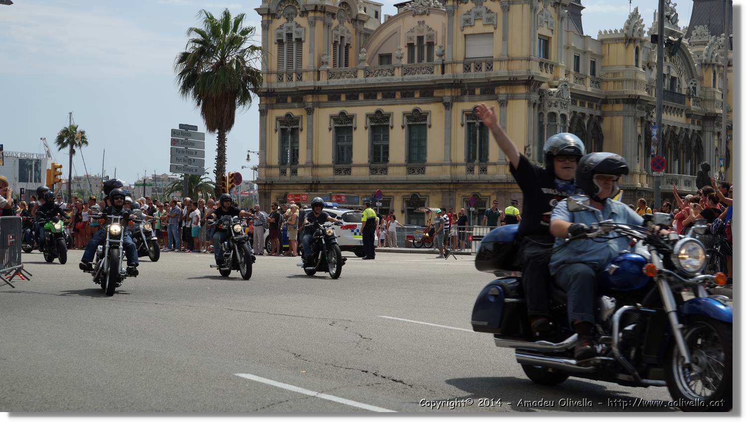 HarleyD_141.jpg