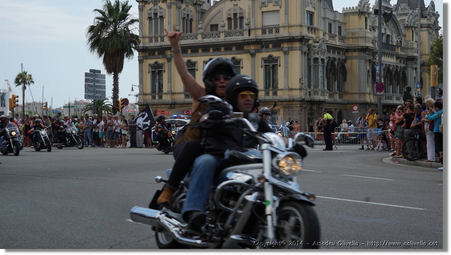 HarleyD_145.jpg