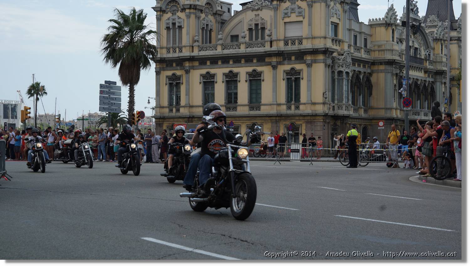 HarleyD_147.jpg