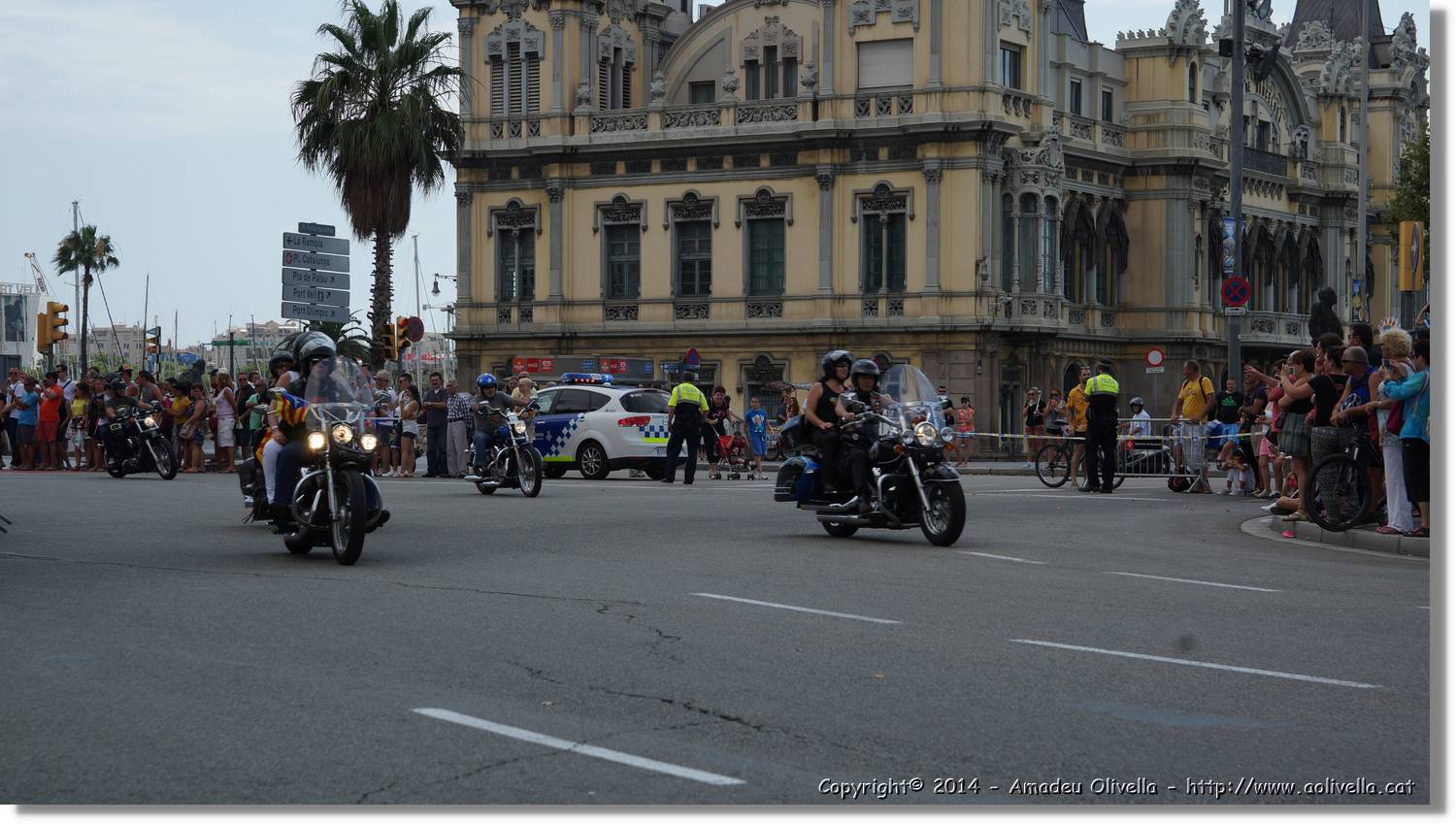 HarleyD_148.jpg
