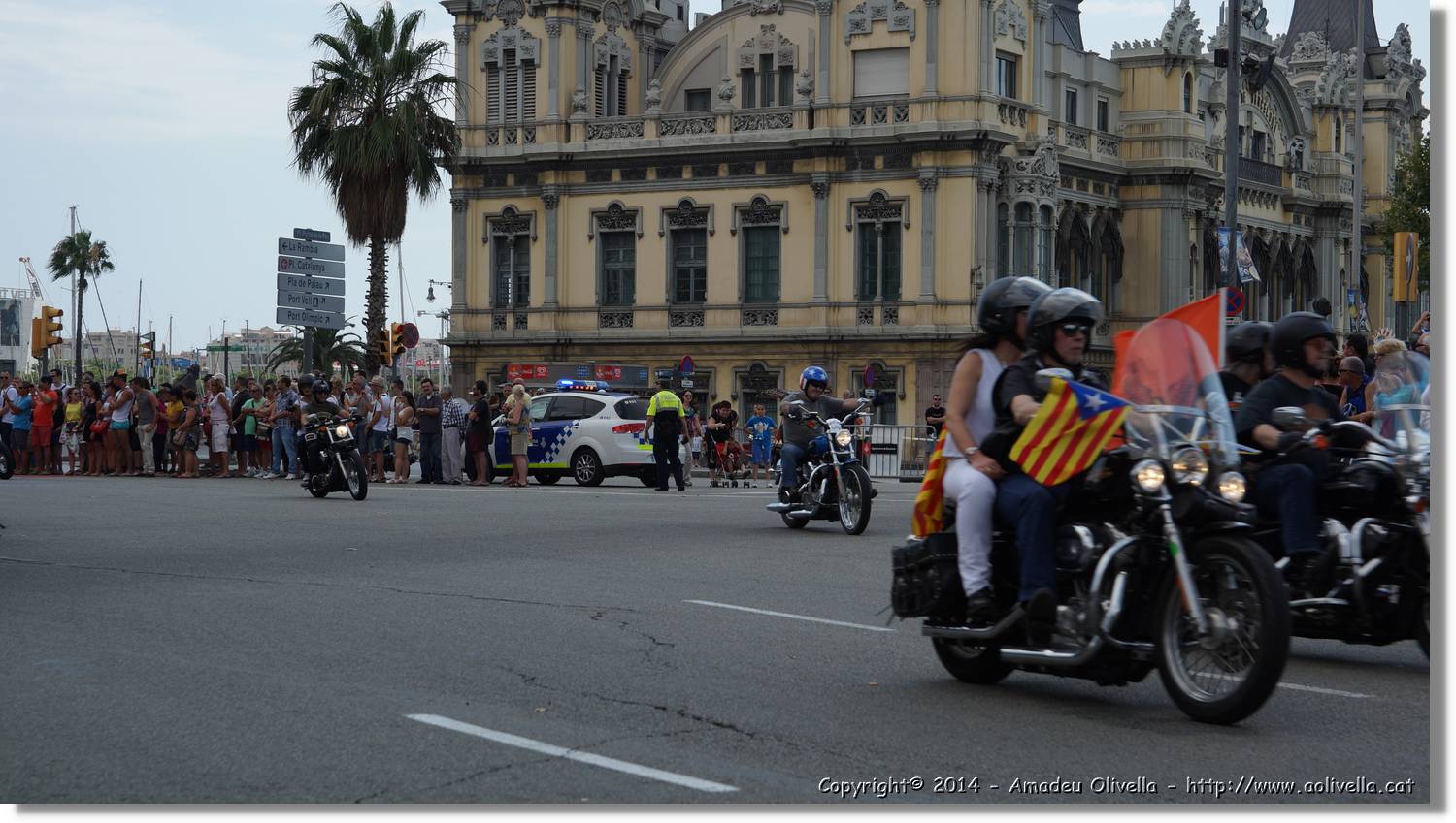 HarleyD_149.jpg