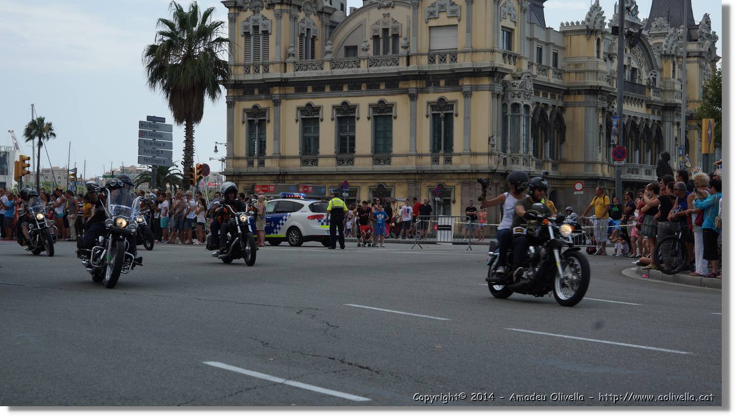 HarleyD_150.jpg