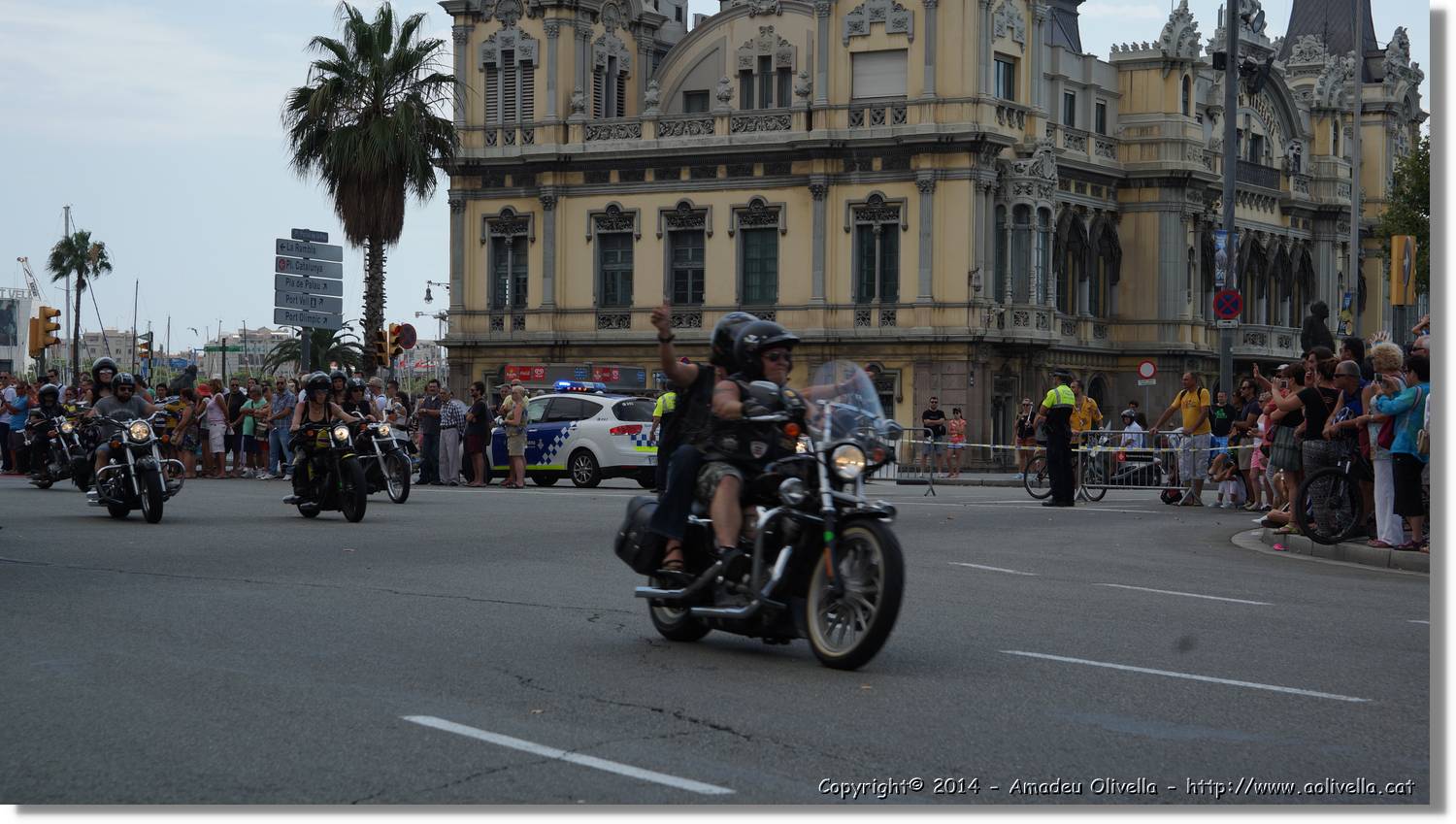 HarleyD_151.jpg