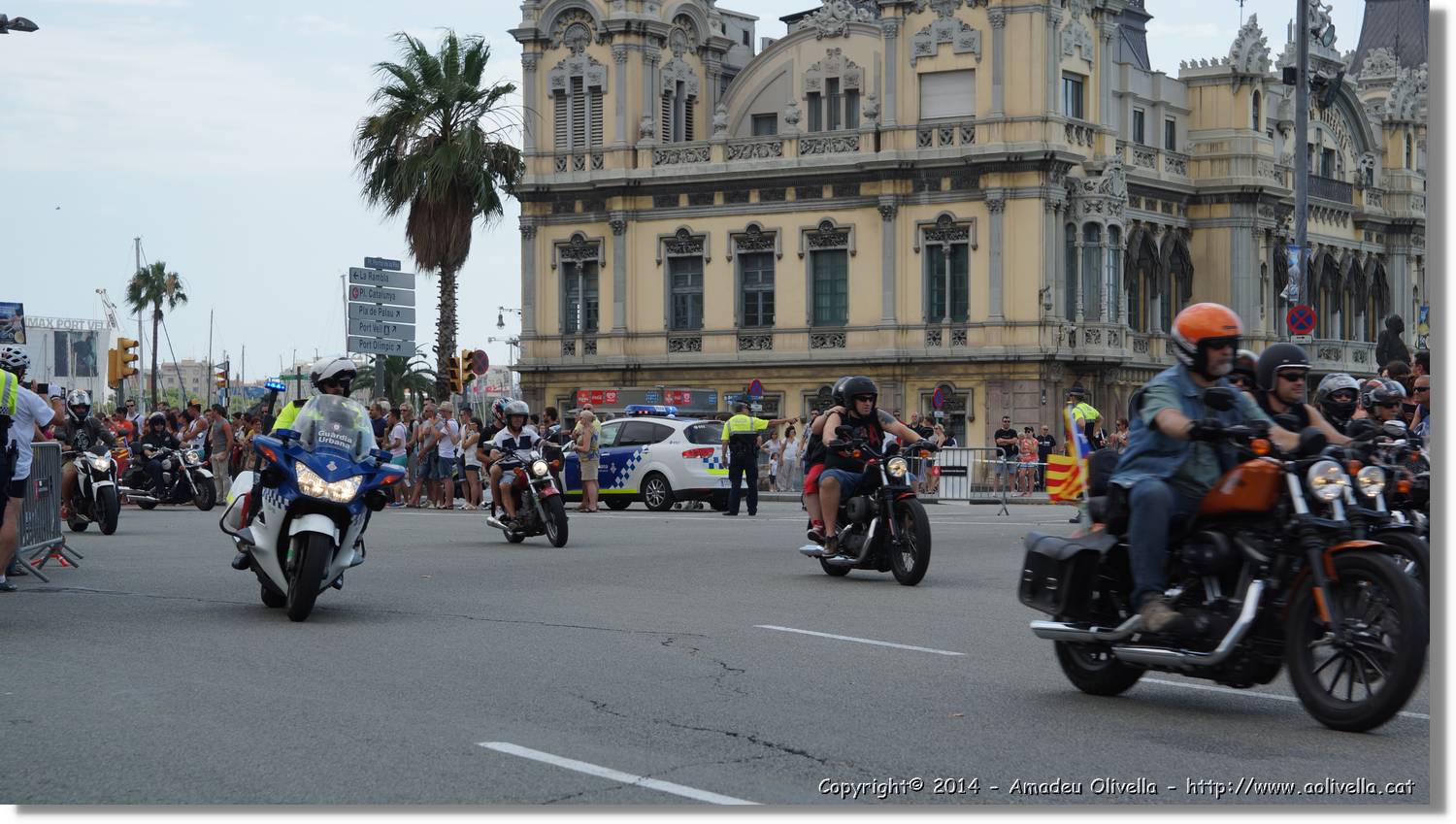HarleyD_153.jpg