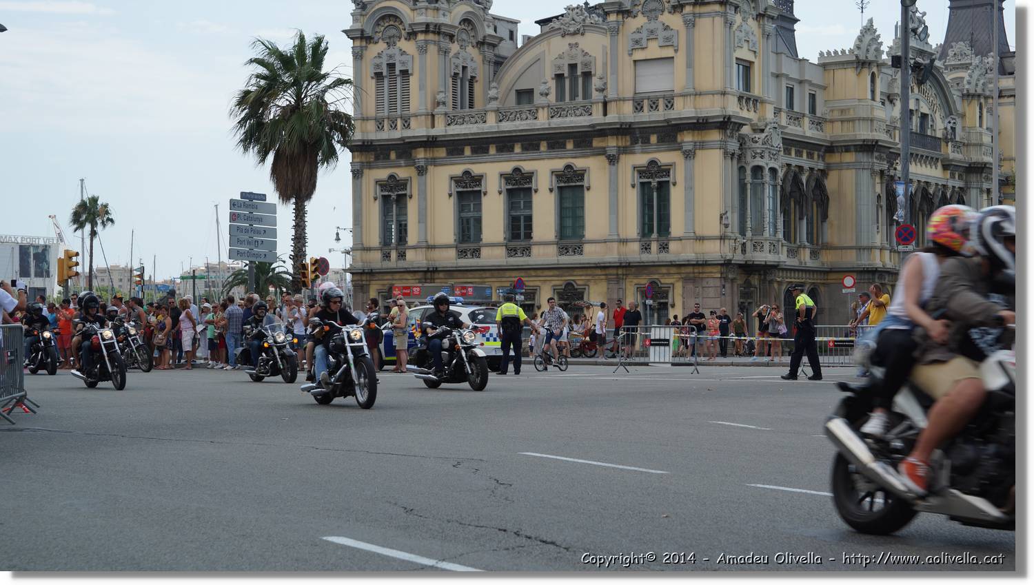 HarleyD_154.jpg