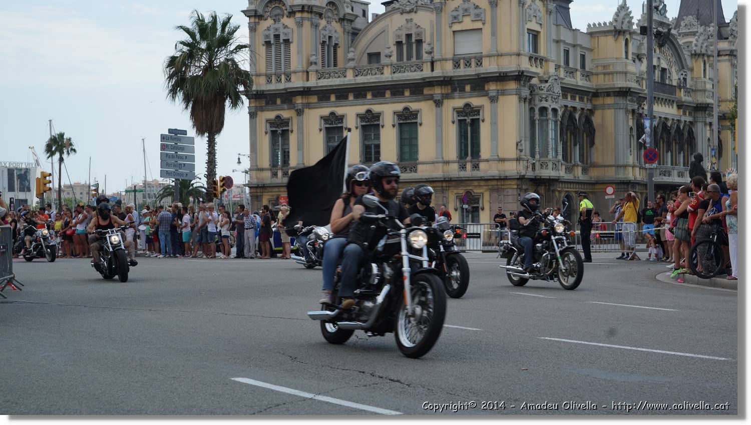 HarleyD_155.jpg