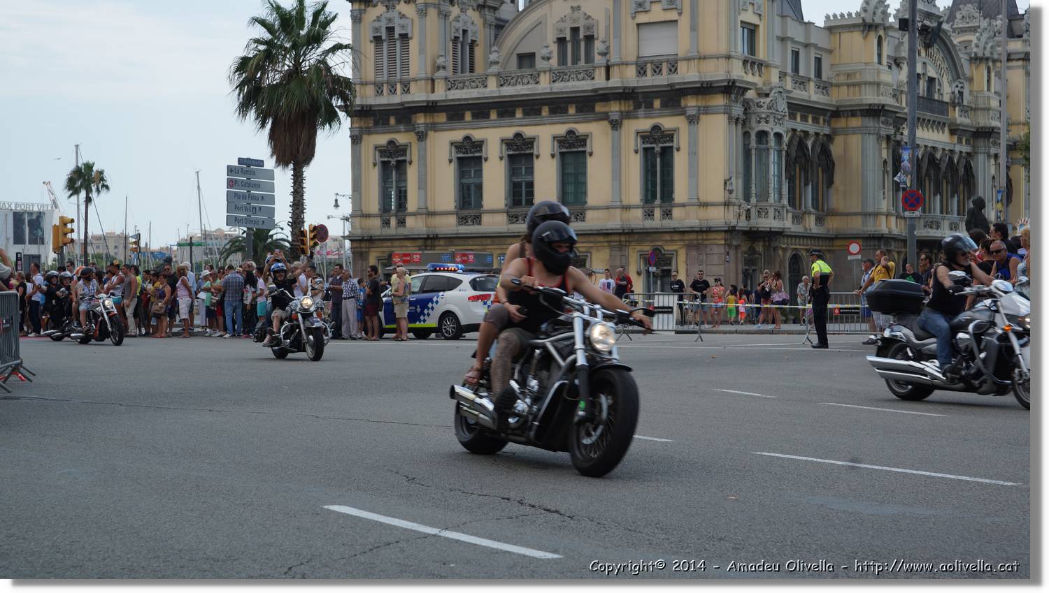 HarleyD_156.jpg