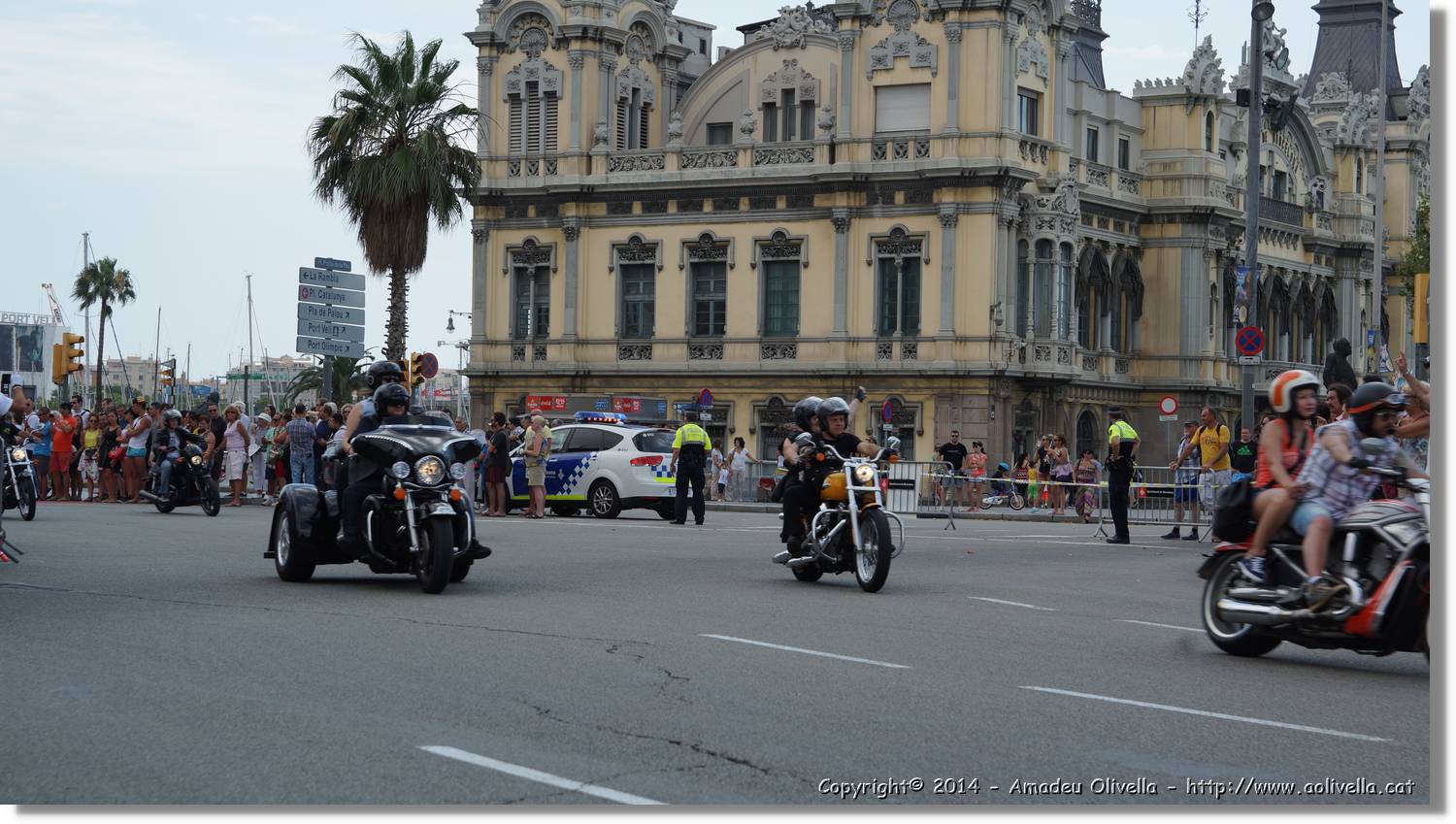 HarleyD_157.jpg