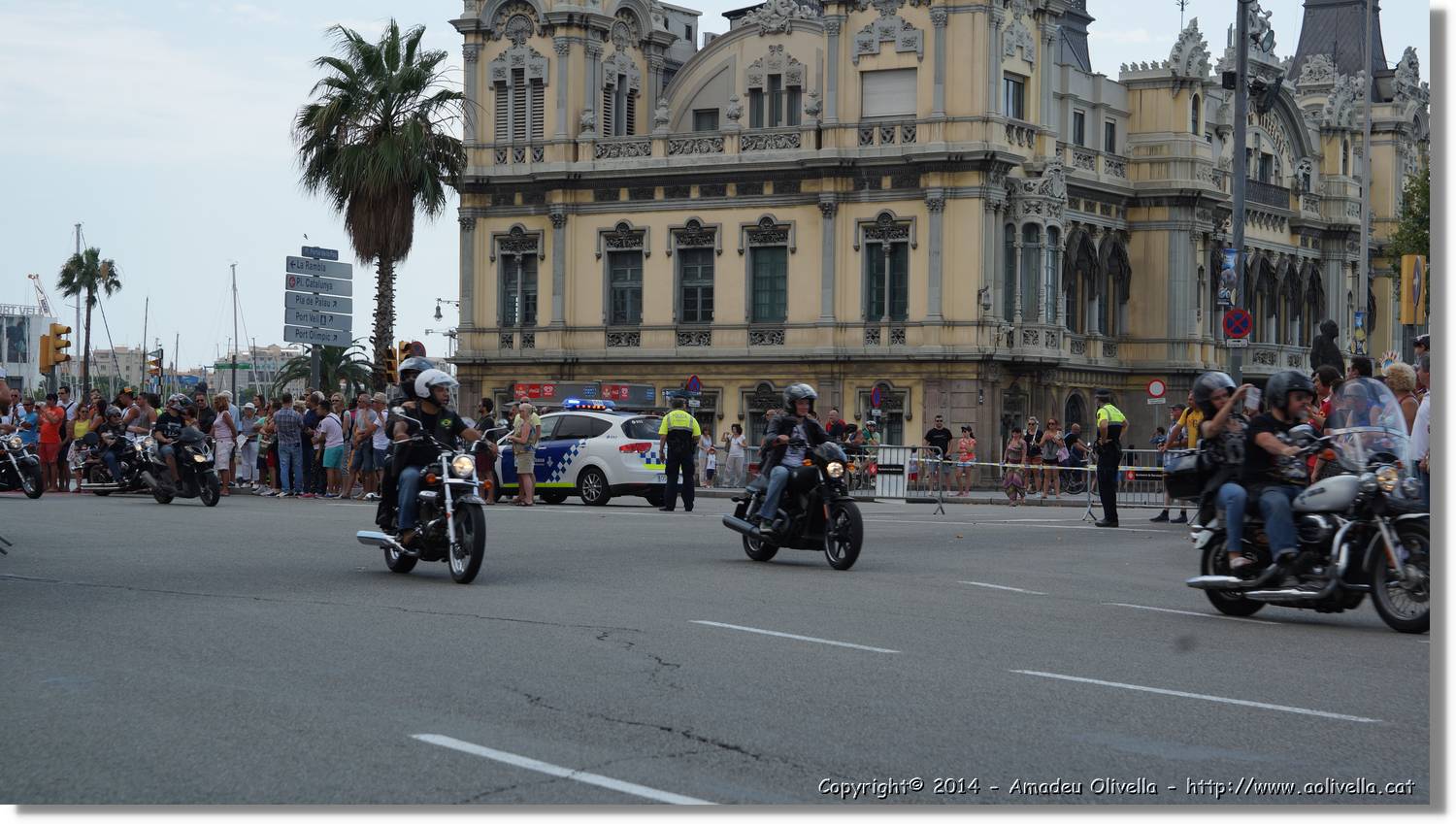 HarleyD_158.jpg