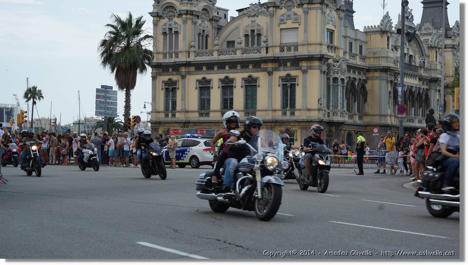 HarleyD_159.jpg