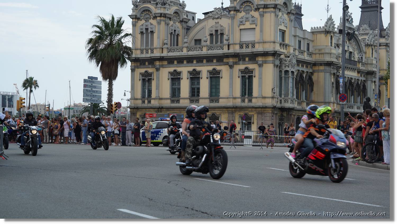 HarleyD_160.jpg