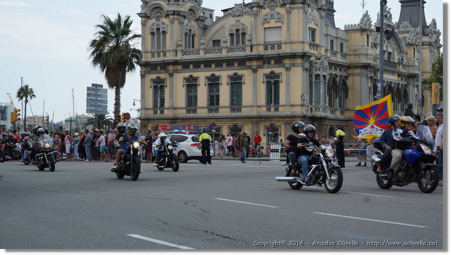 HarleyD_161.jpg