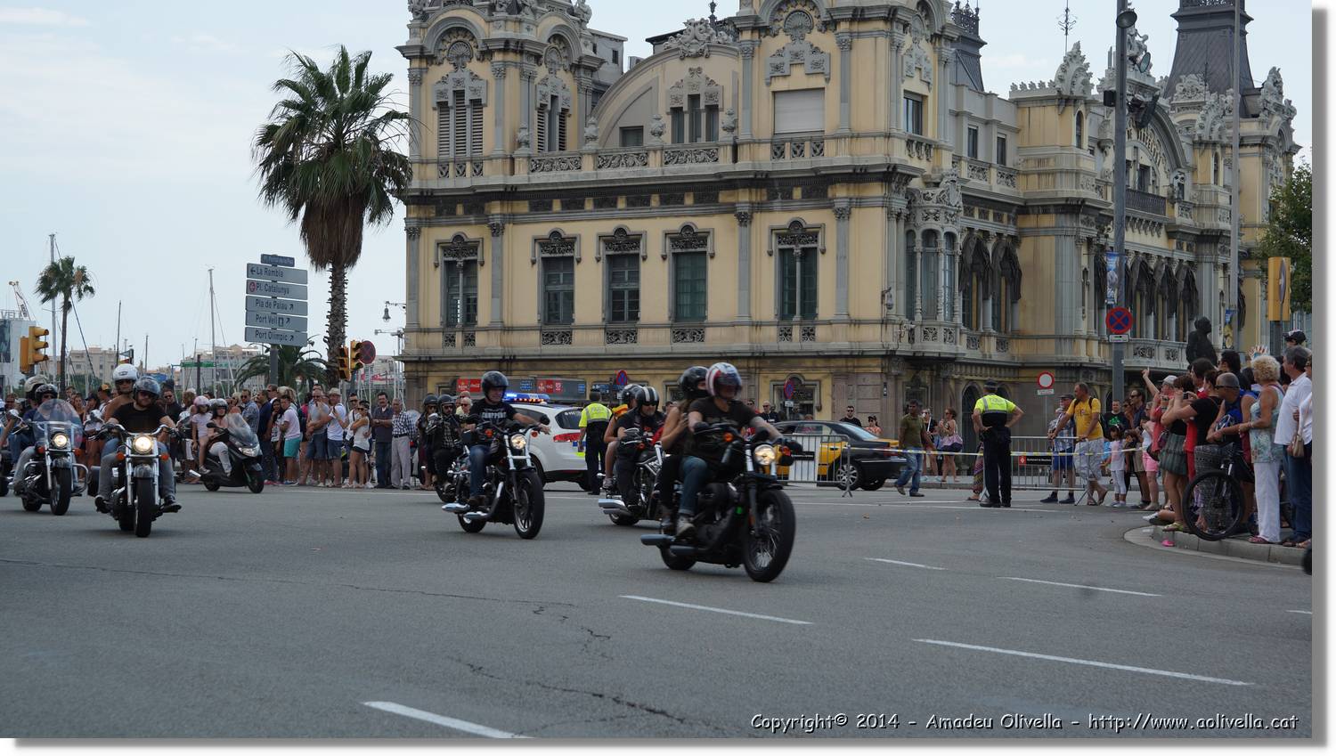 HarleyD_162.jpg