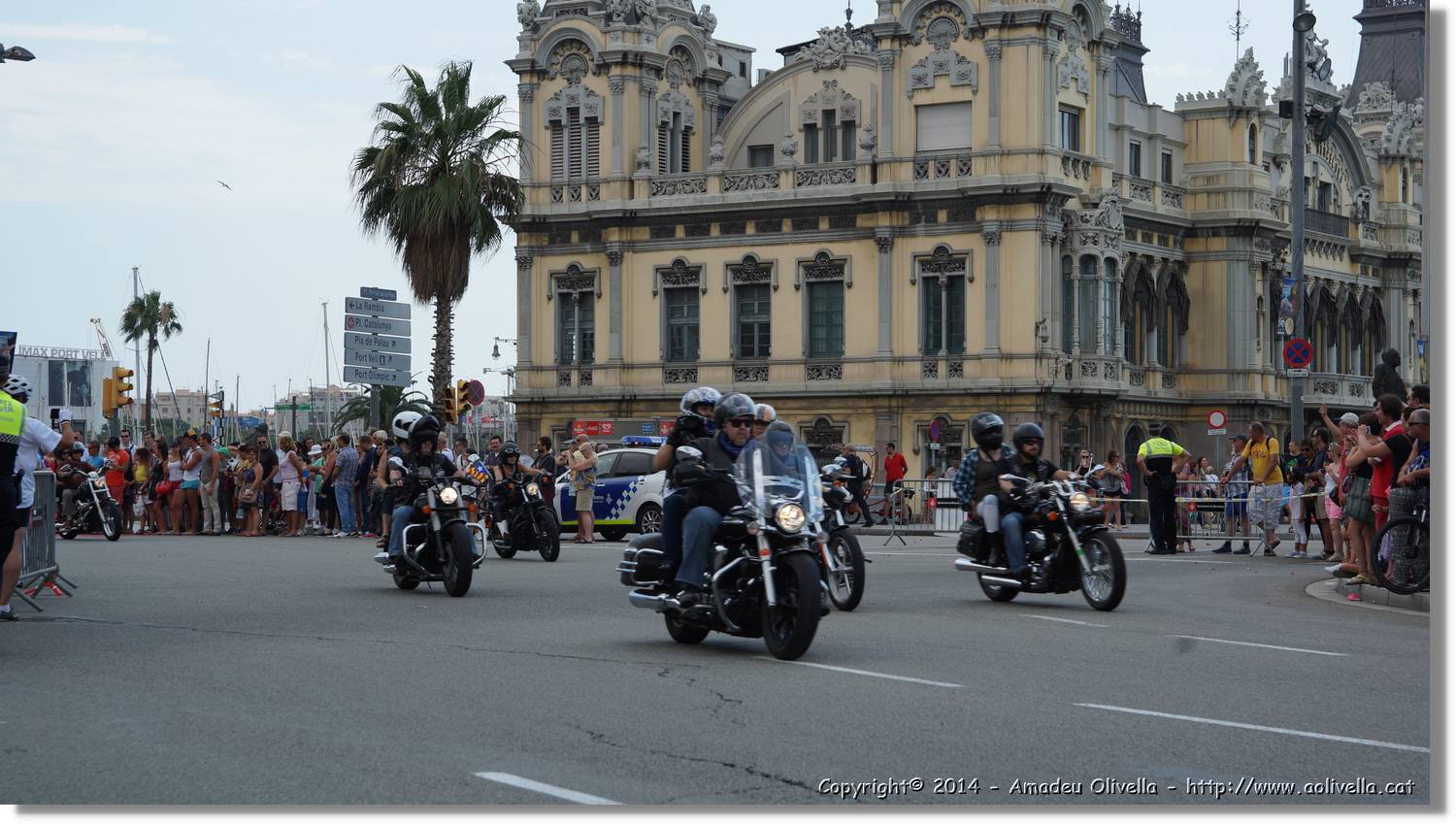HarleyD_164.jpg