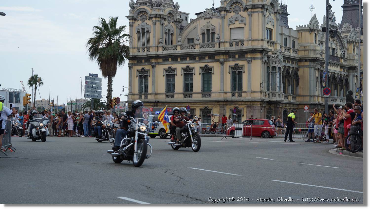 HarleyD_165.jpg