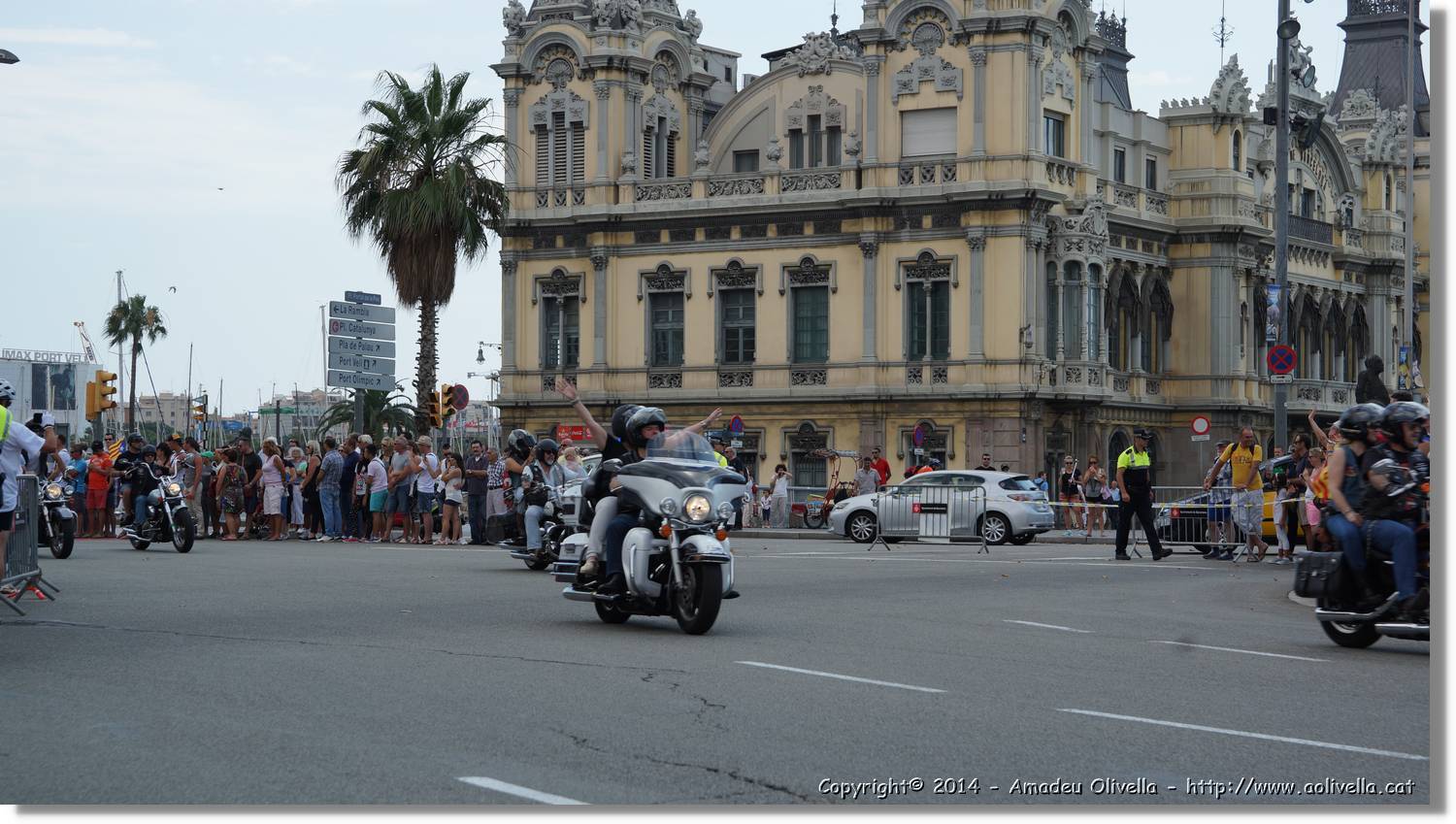 HarleyD_167.jpg