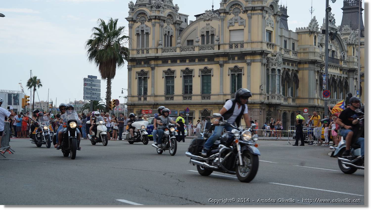 HarleyD_168.jpg