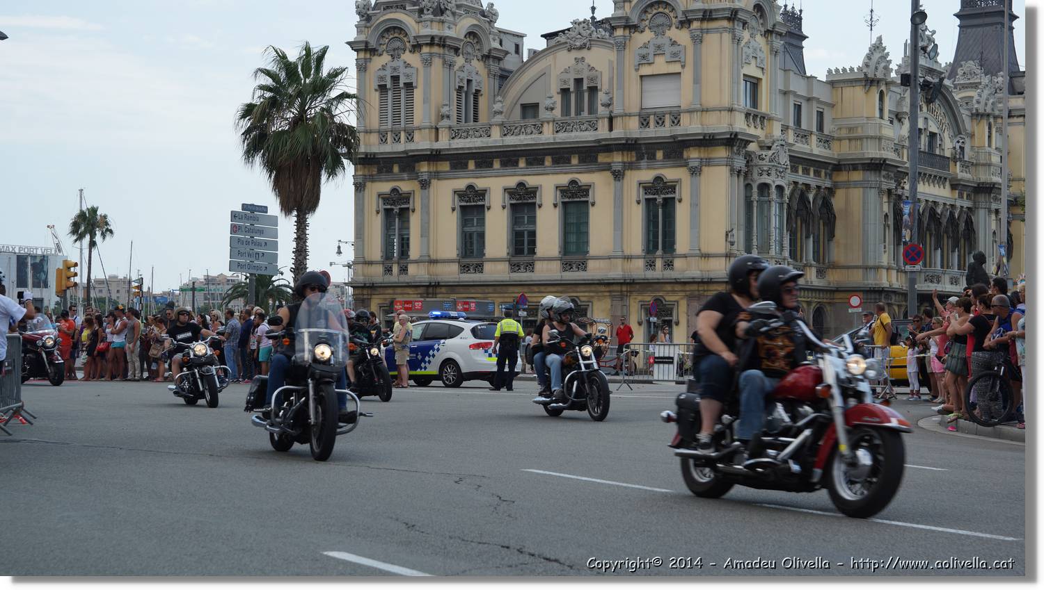 HarleyD_170.jpg