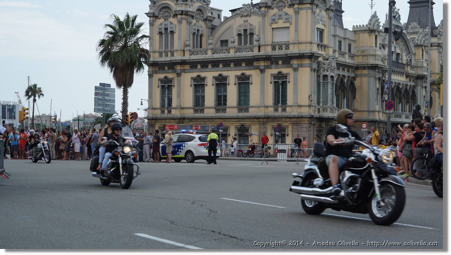 HarleyD_171.jpg