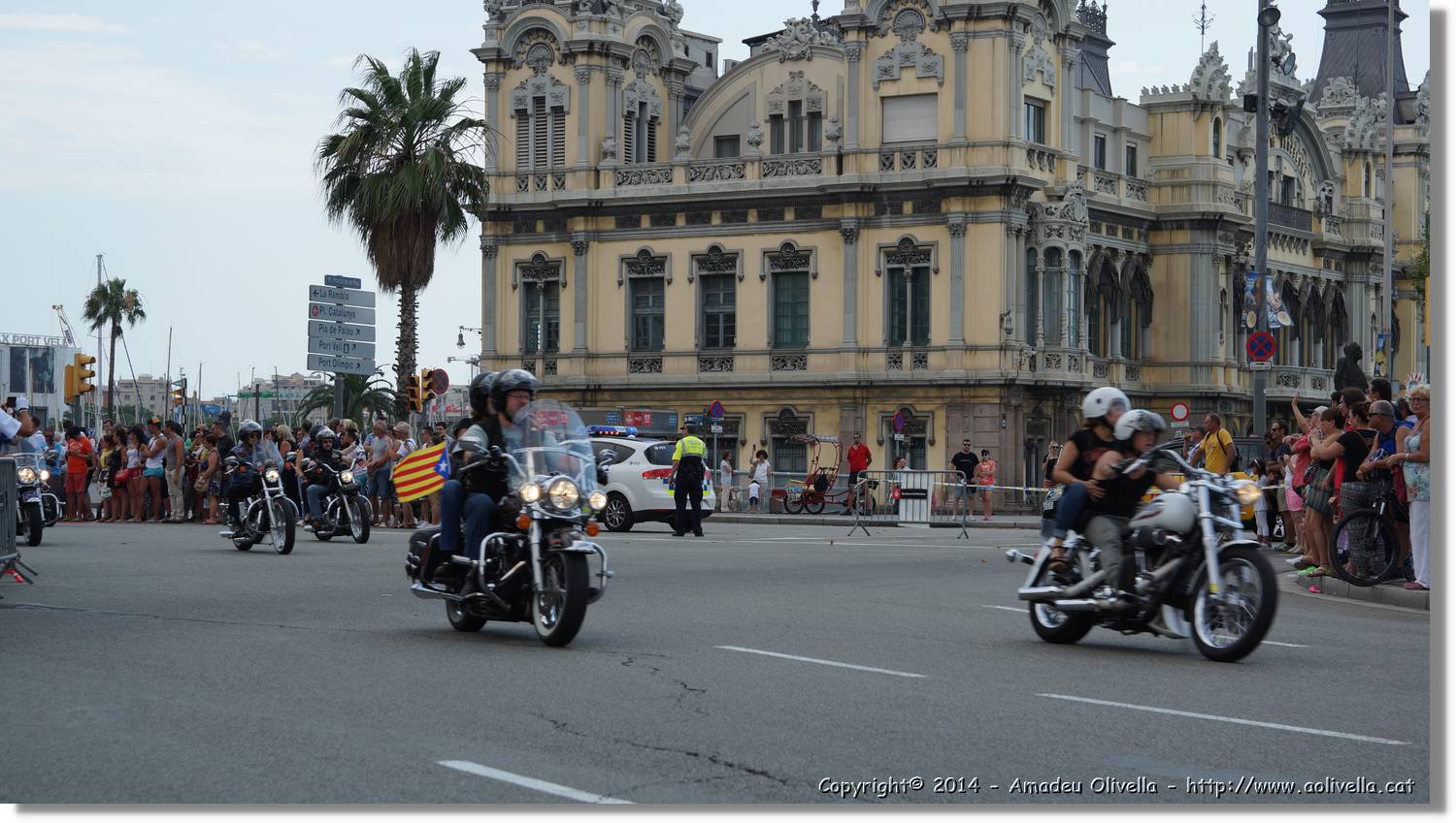 HarleyD_172.jpg