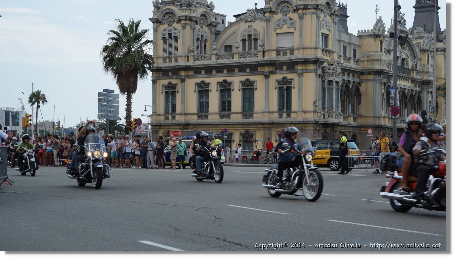 HarleyD_173.jpg