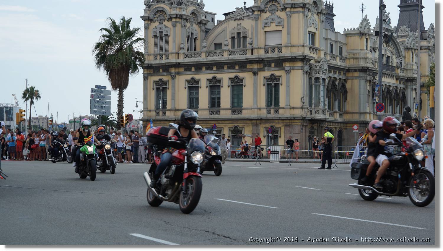 HarleyD_174.jpg