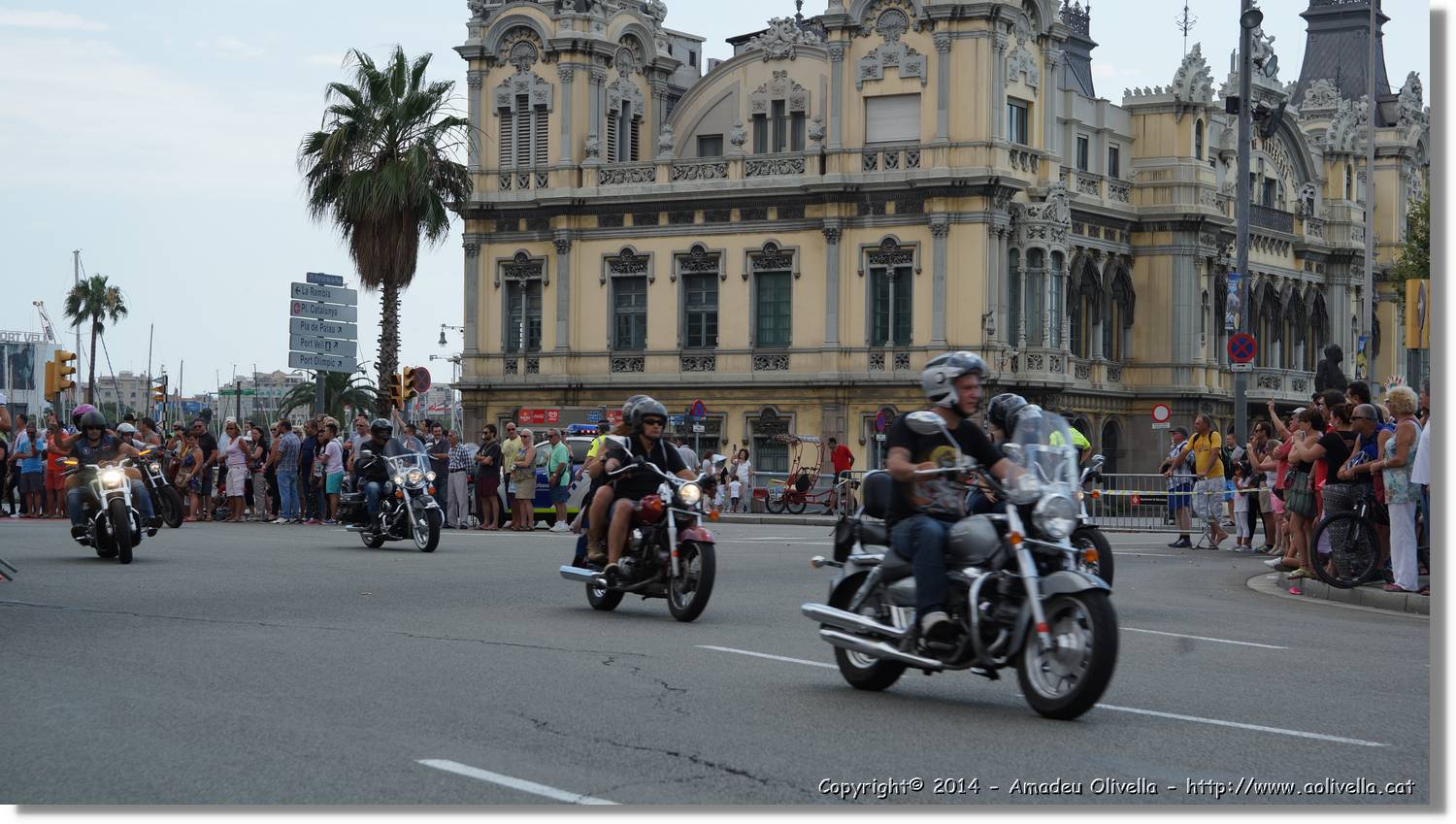 HarleyD_175.jpg