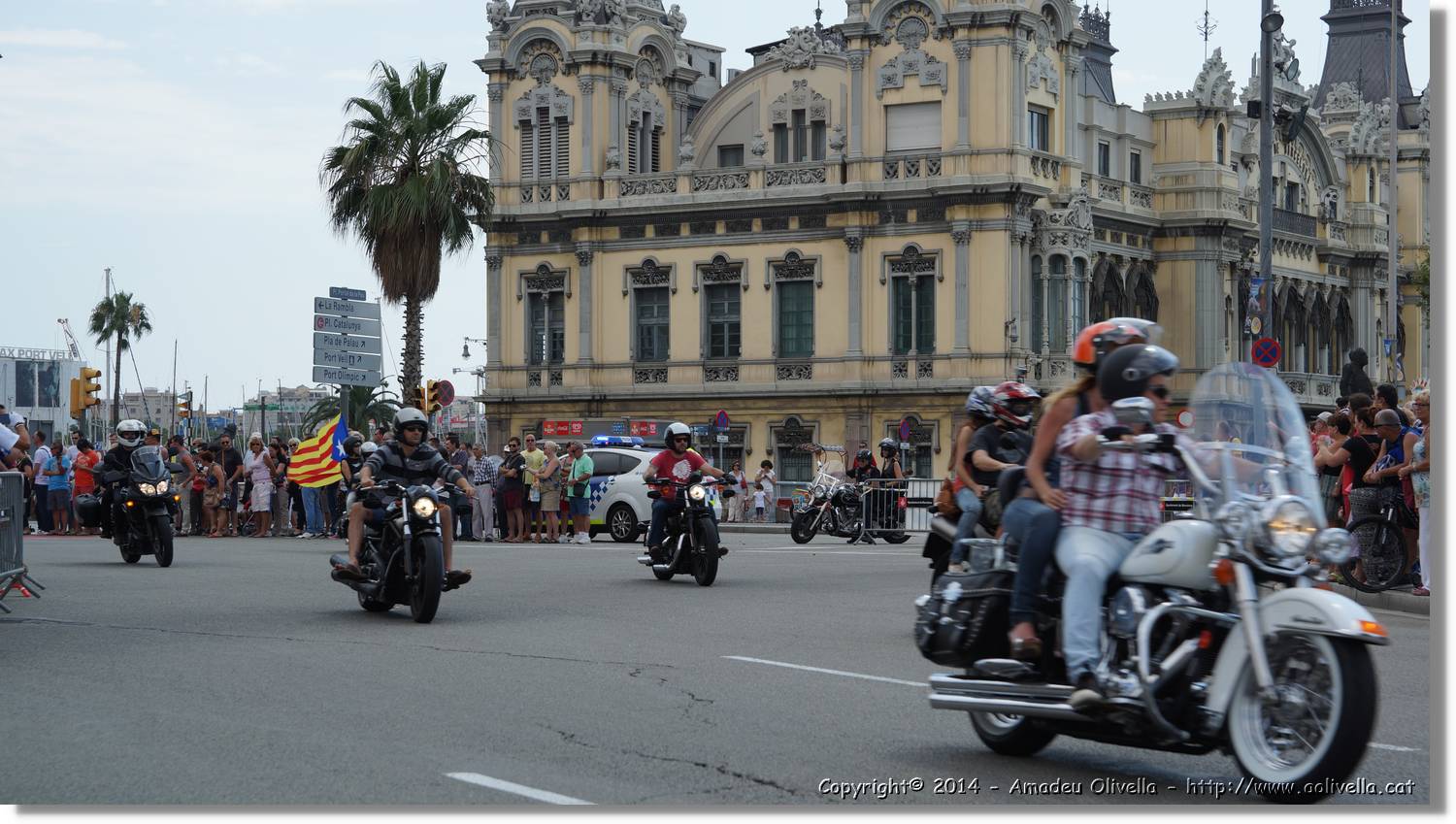 HarleyD_176.jpg