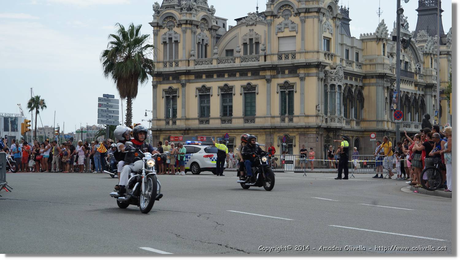 HarleyD_177.jpg