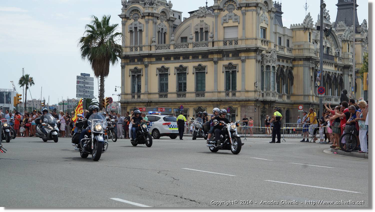 HarleyD_179.jpg