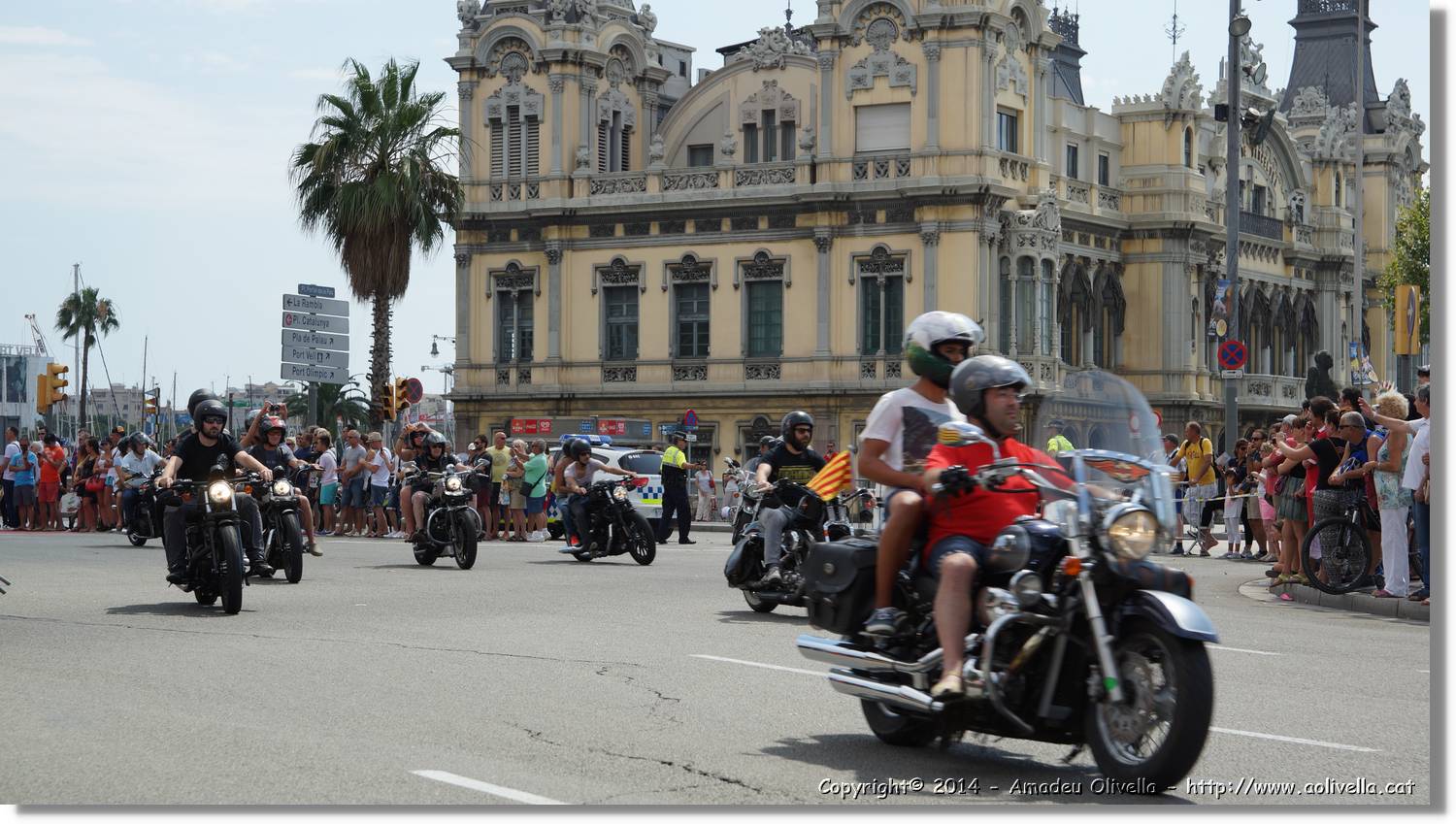 HarleyD_181.jpg