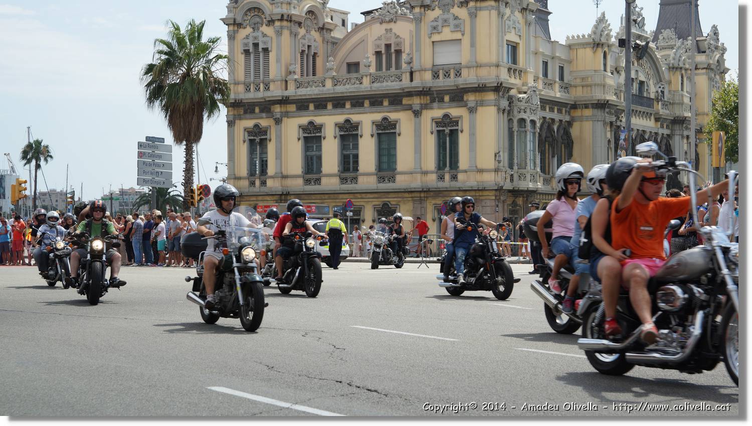 HarleyD_183.jpg