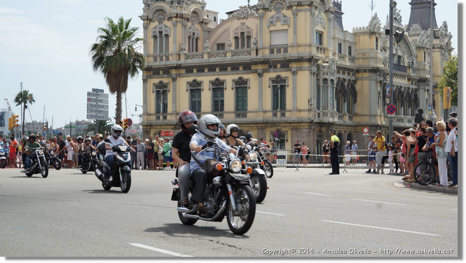 HarleyD_184.jpg