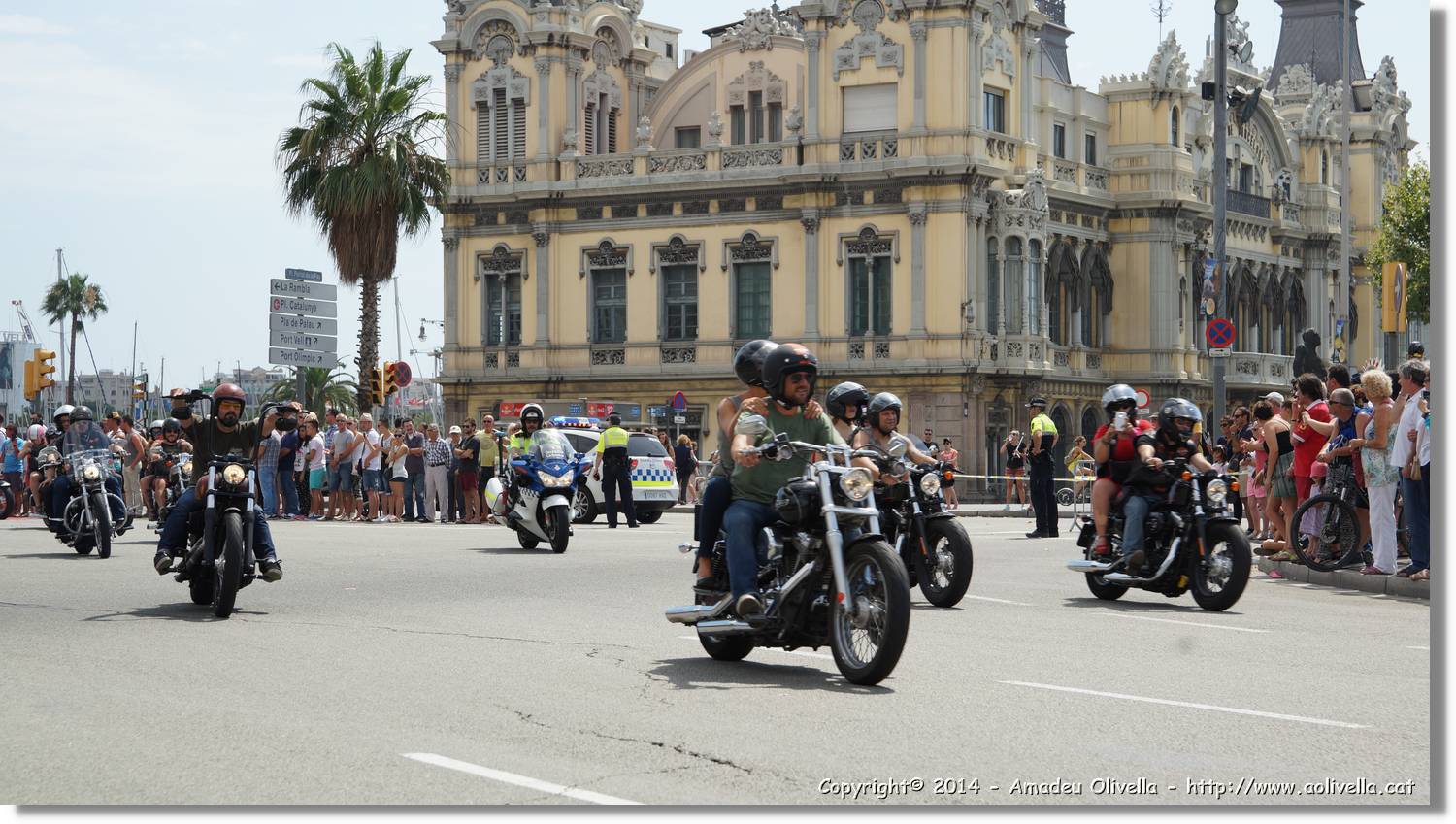 HarleyD_185.jpg