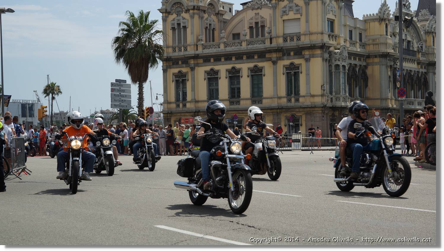 HarleyD_186.jpg