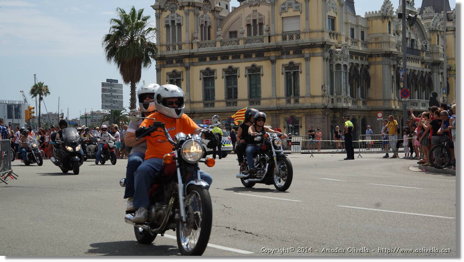 HarleyD_187.jpg