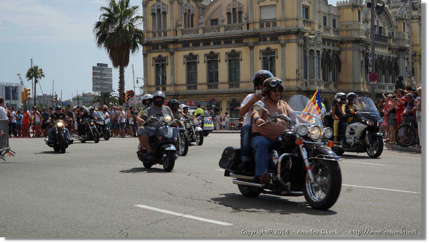 HarleyD_189.jpg
