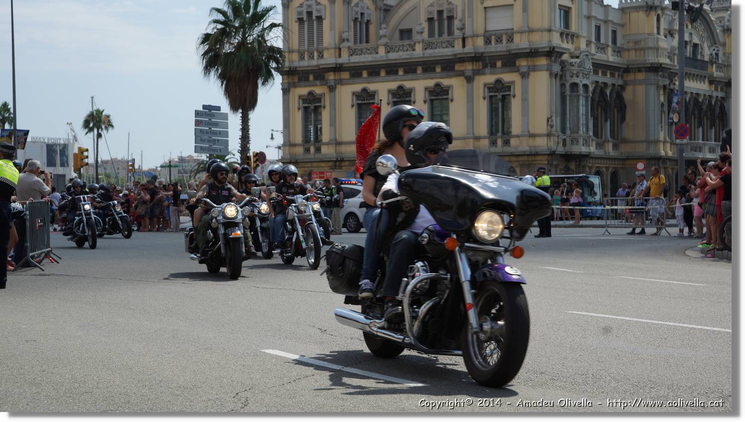 HarleyD_190.jpg