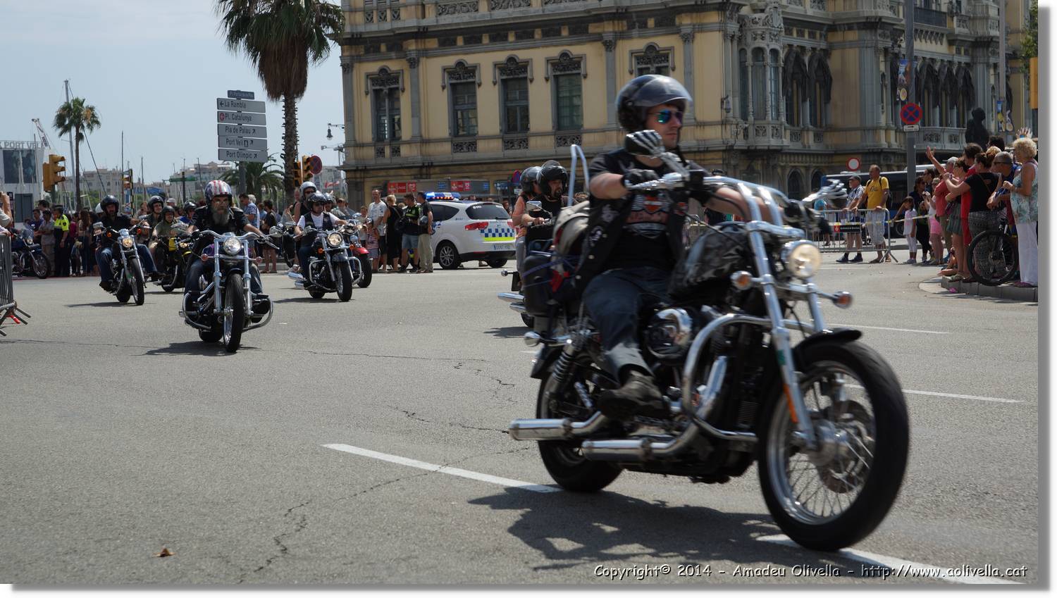 HarleyD_191.jpg