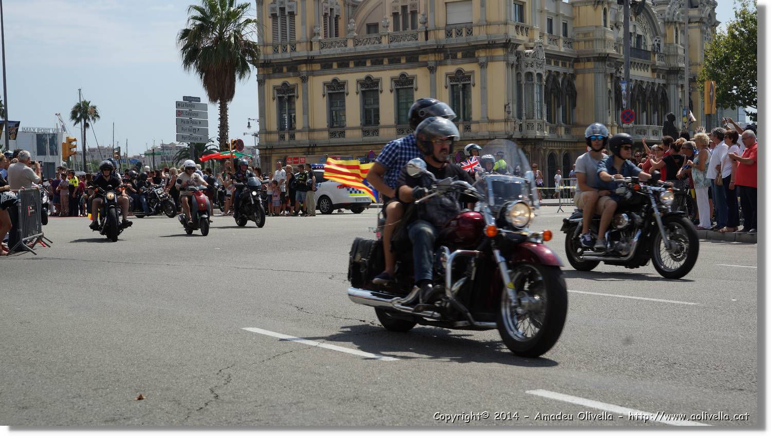 HarleyD_192.jpg