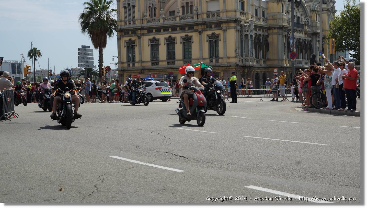 HarleyD_194.jpg