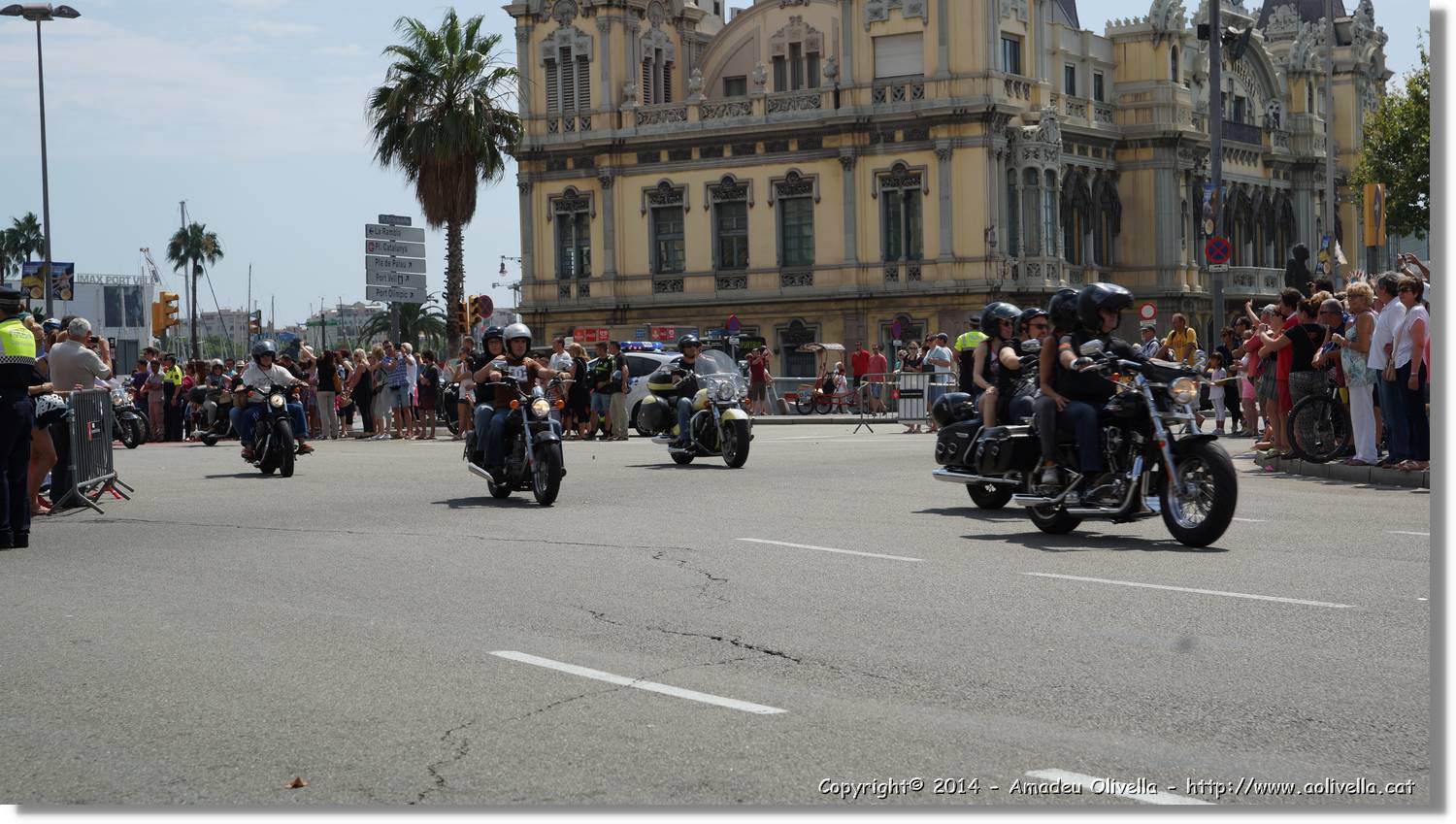 HarleyD_195.jpg