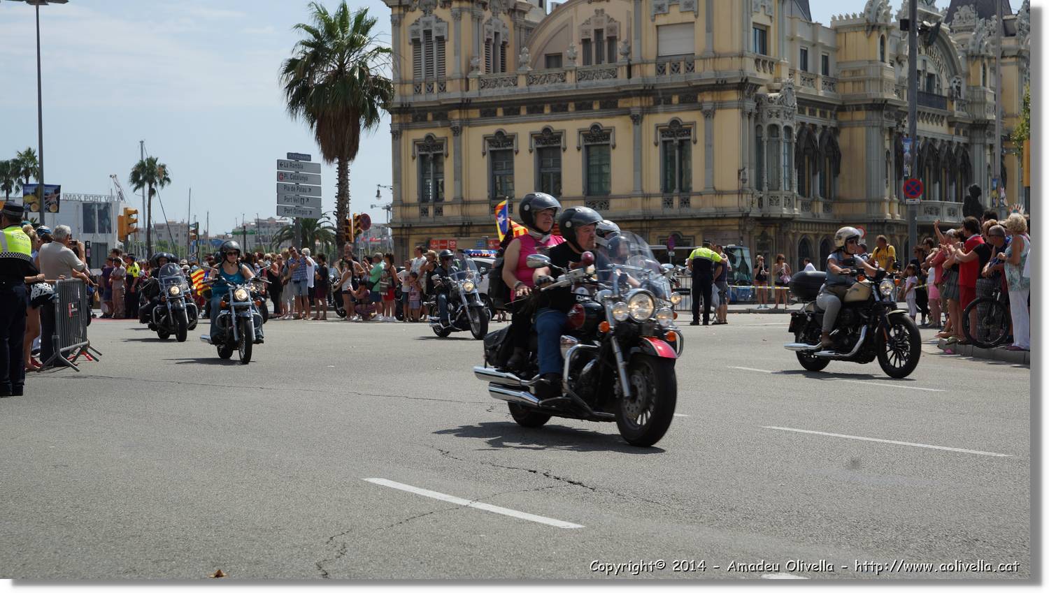 HarleyD_196.jpg