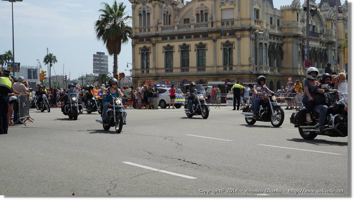 HarleyD_197.jpg