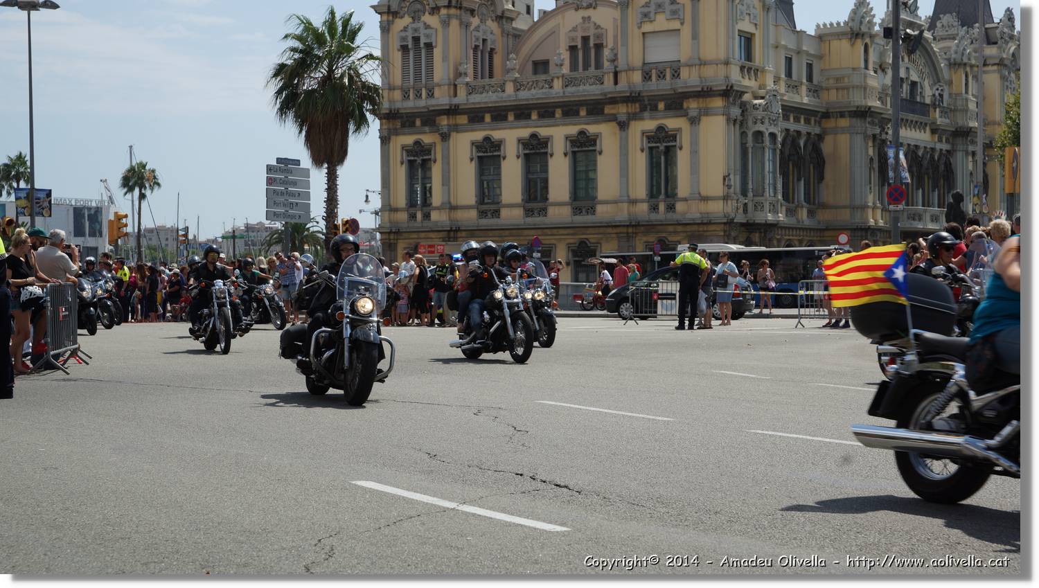 HarleyD_198.jpg